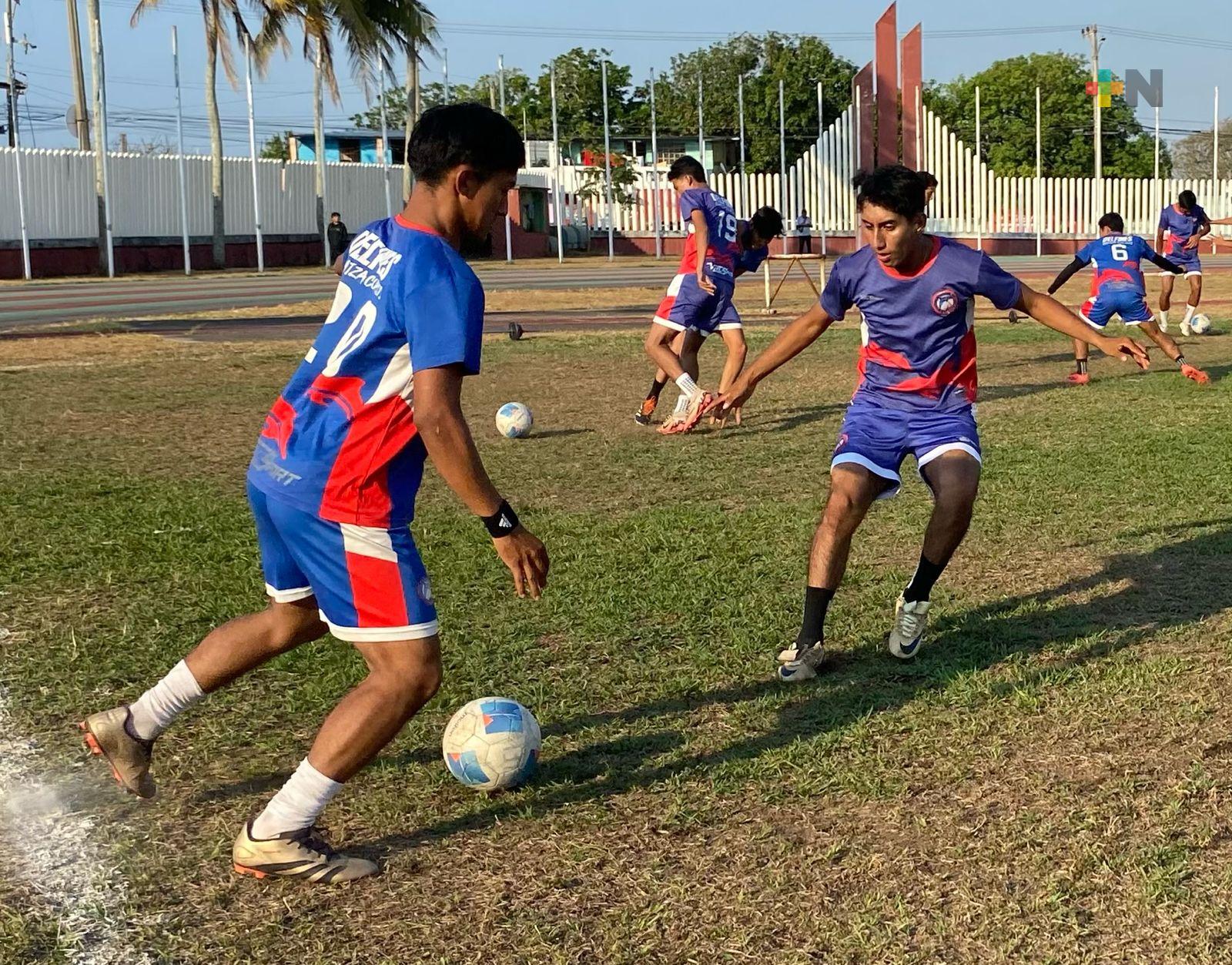 Delfines liguilla TD