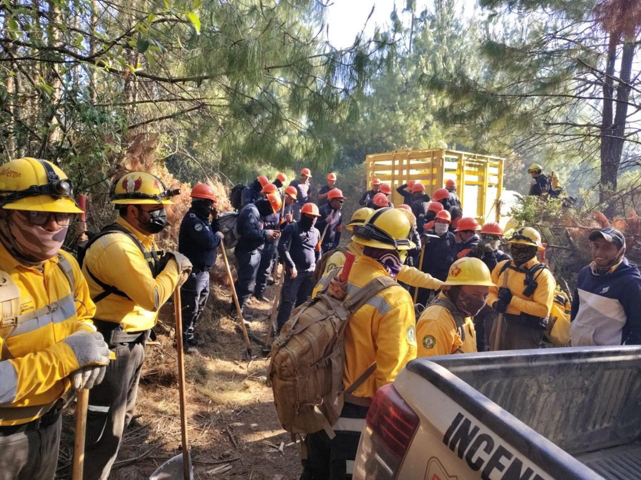 En Veracruz se han presentado 82 incendios forestales con corte al 24 de abril