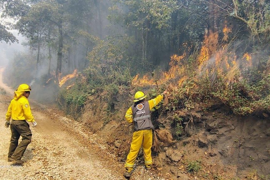 Gobierno de Veracruz mantiene control de cuatro incendios forestales