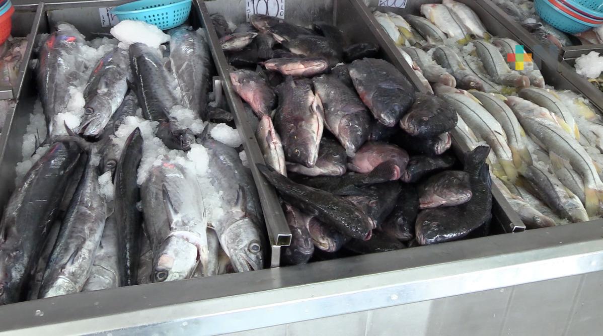Mejora la venta de pescados y mariscos