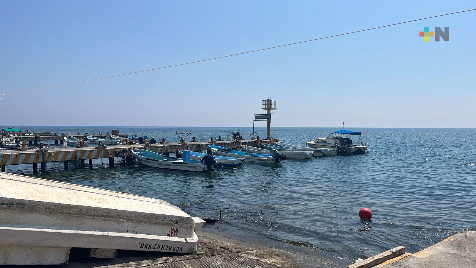 Capturan tonelada y media de robalo en Alvarado