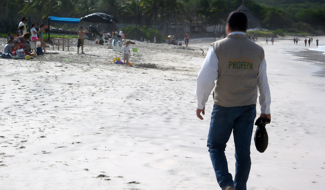 Profepa realiza multioperativo en ecosistemas costeros y playas turísticas de 17 estados