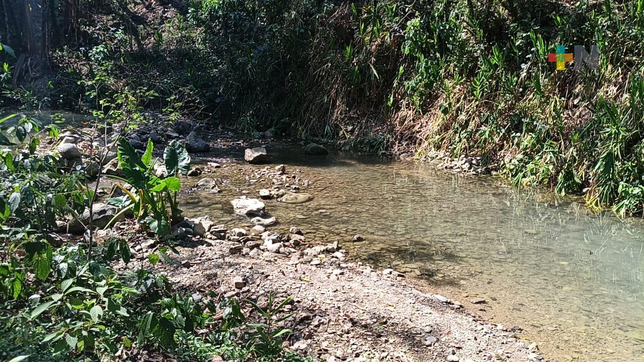 Reducción drástica del caudal del río Tequecholapa, en el centro de Veracruz