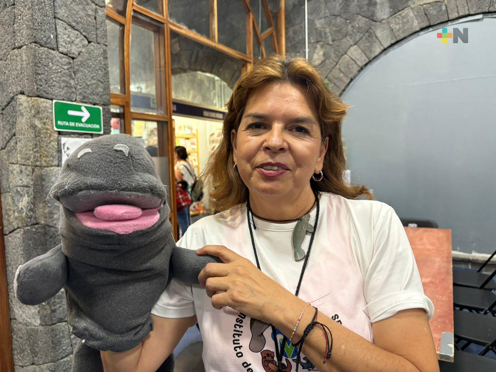 Avistamientos de madres con crías de manatí en zona sur de Veracruz