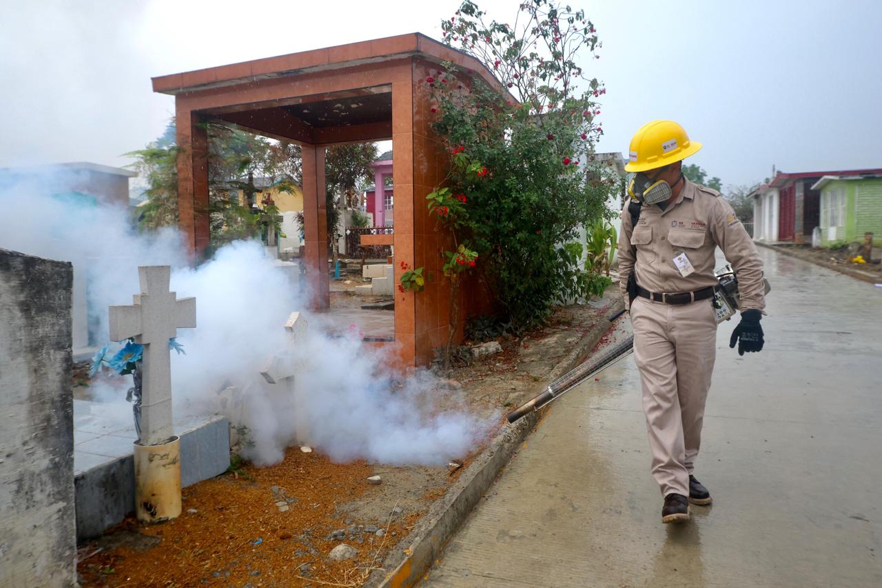 Control permanente para reducir presencia del mosquito transmisor de dengue