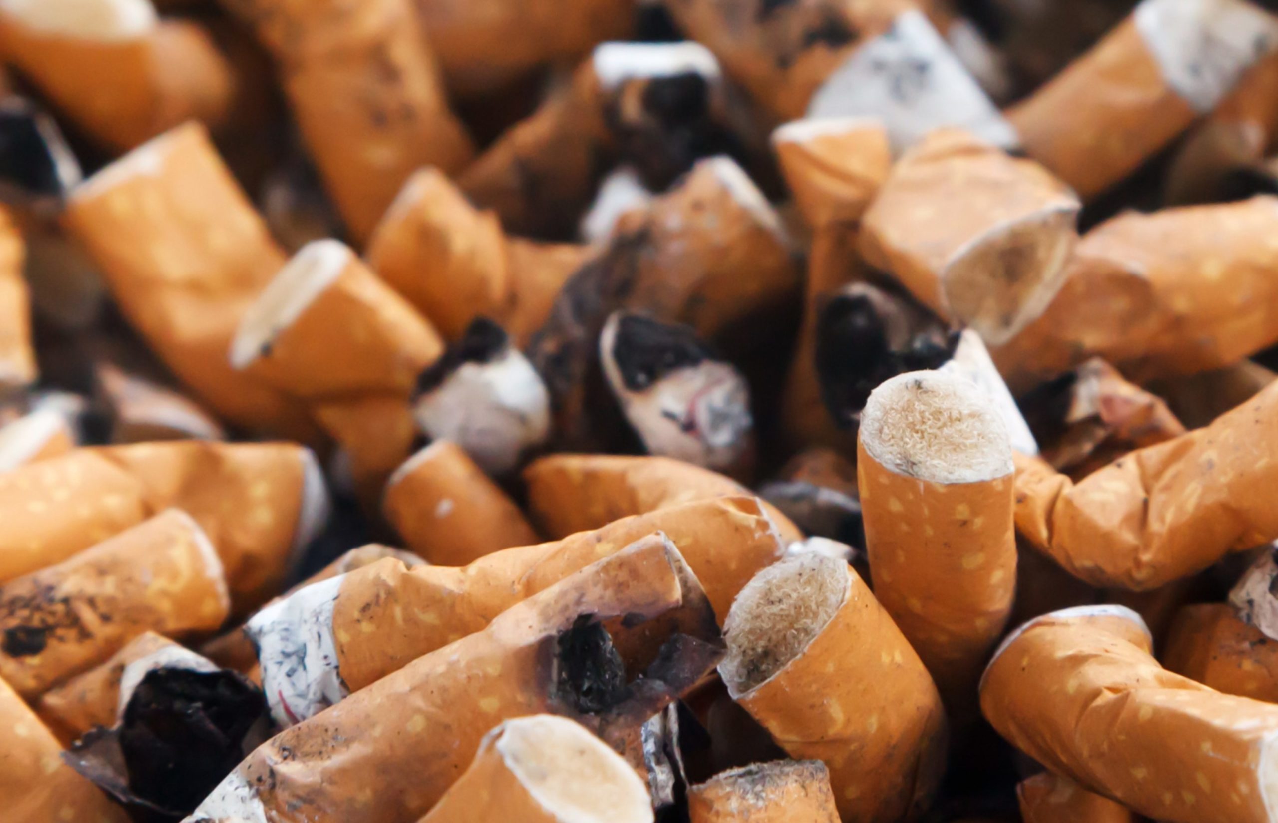 Colillas de cigarro tardan hasta 100 años en degradarse