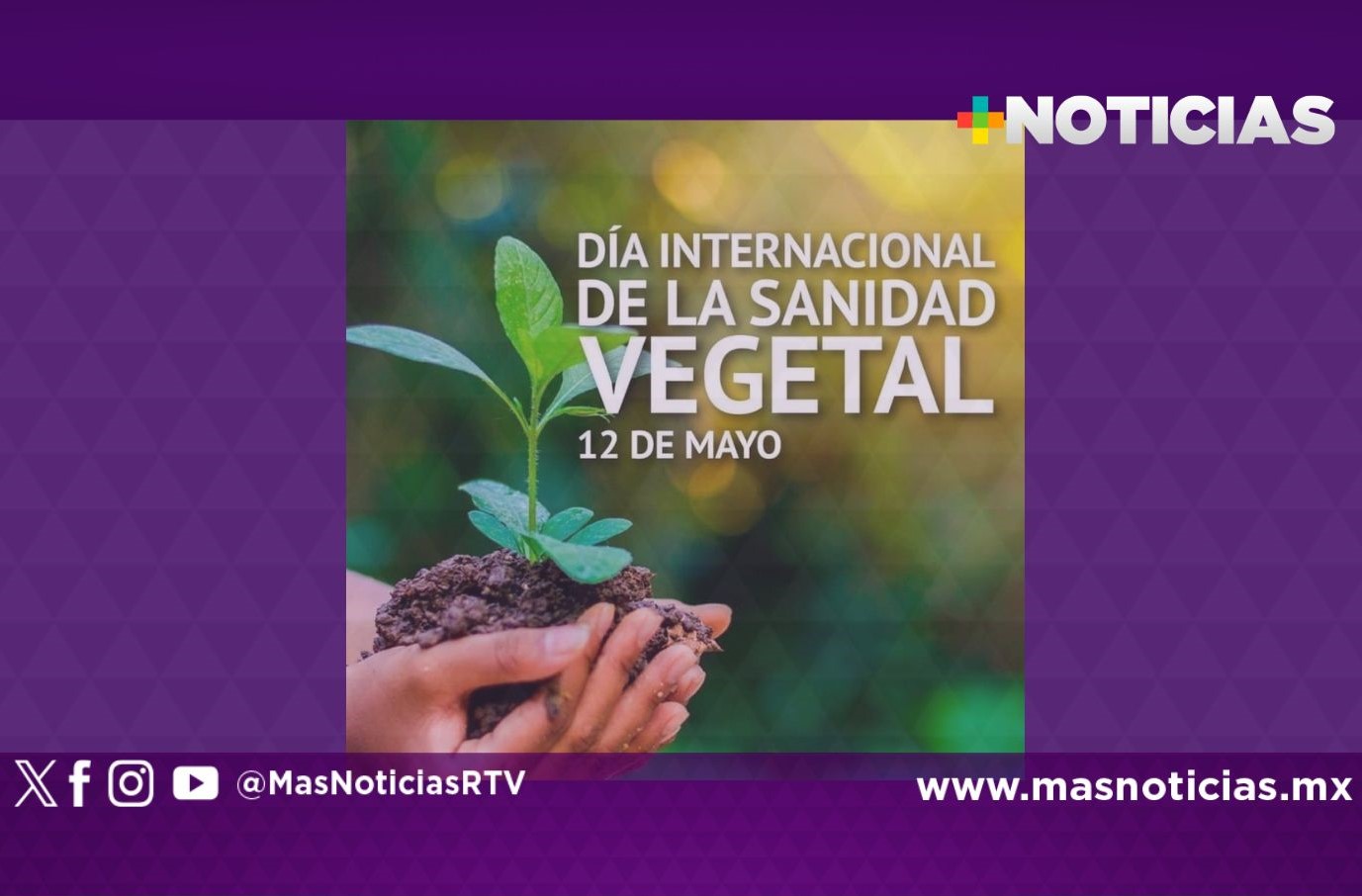 Día Internacional de la Sanidad Vegetal