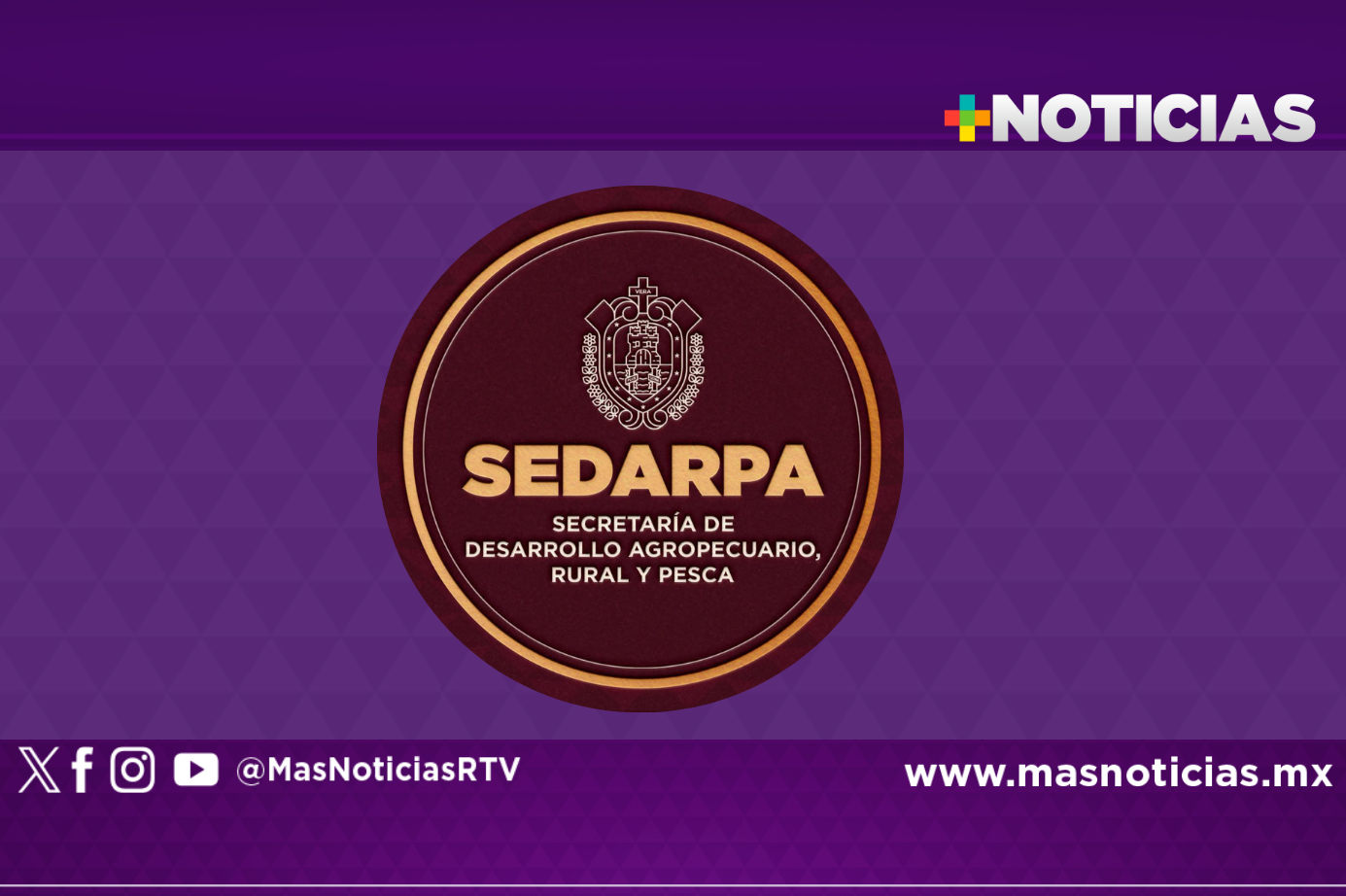 Presencia de gusano barrenador no implica sacrificios ni cuarentenas: Sedarpa