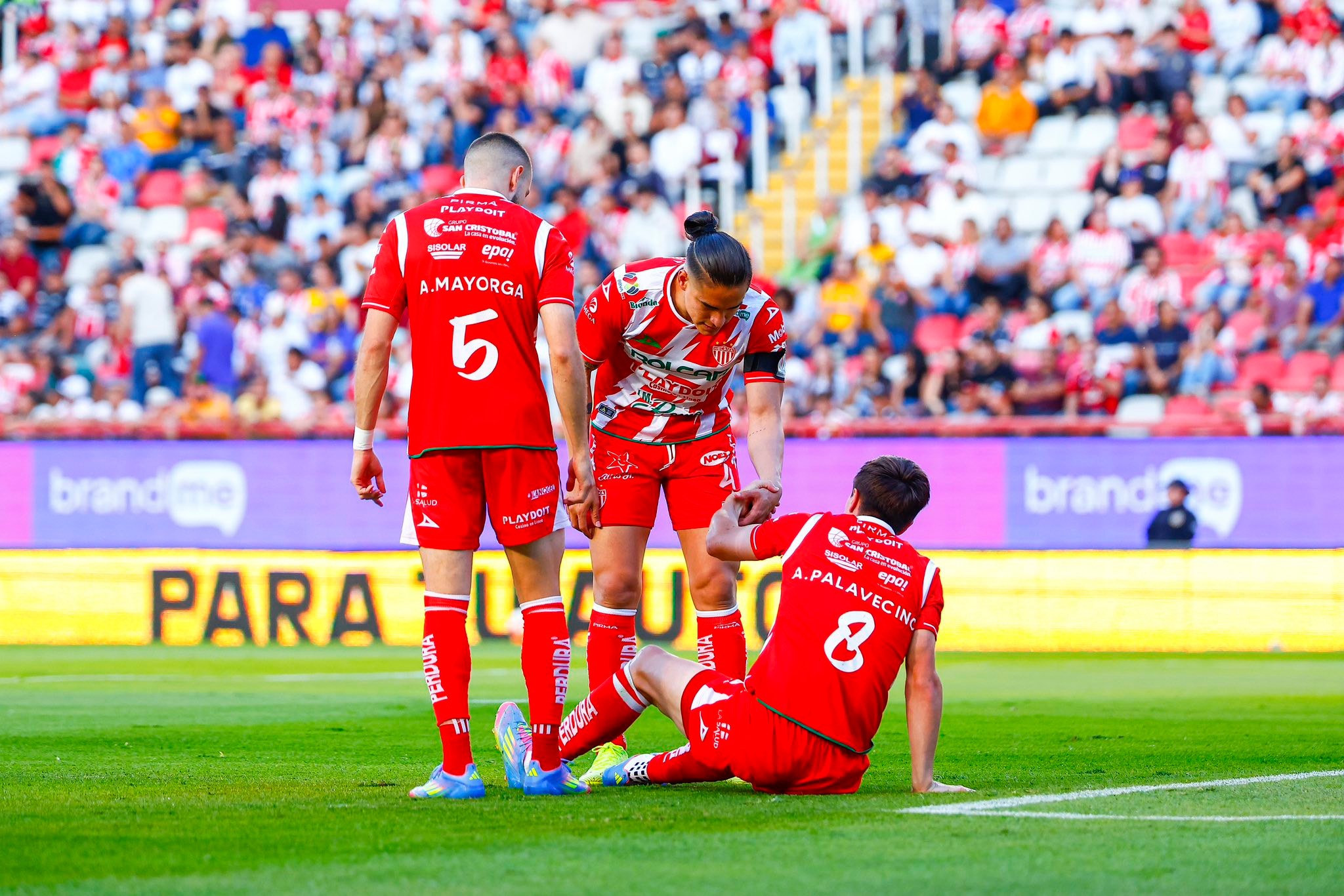 Necaxa y Tigres no se hacen daño en la ida