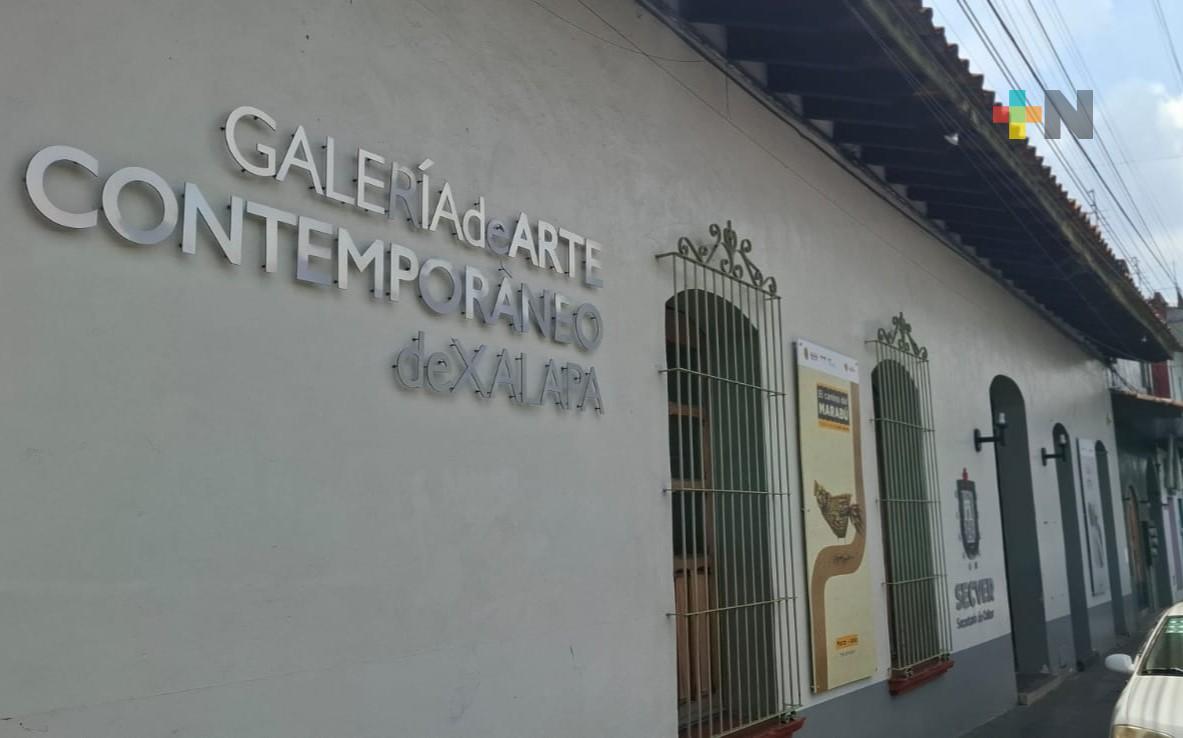 Conoce la historia de la Galería de Arte Contemporáneo de Xalapa