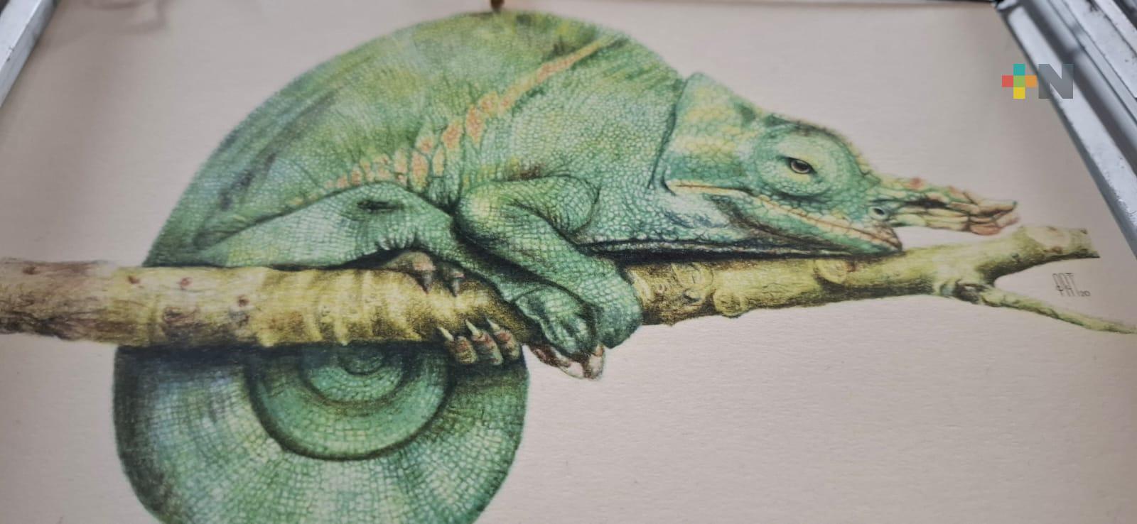 Paty Blanco, artista xalapeña dedicada al ancestral arte del grabado