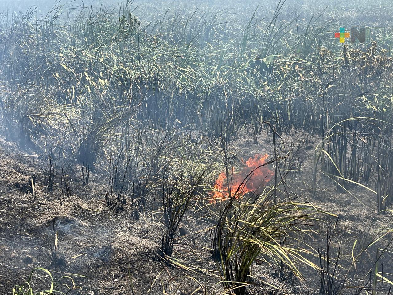 En Coatzacoalcos han combatido cerca de 270 incendios de pastizales
