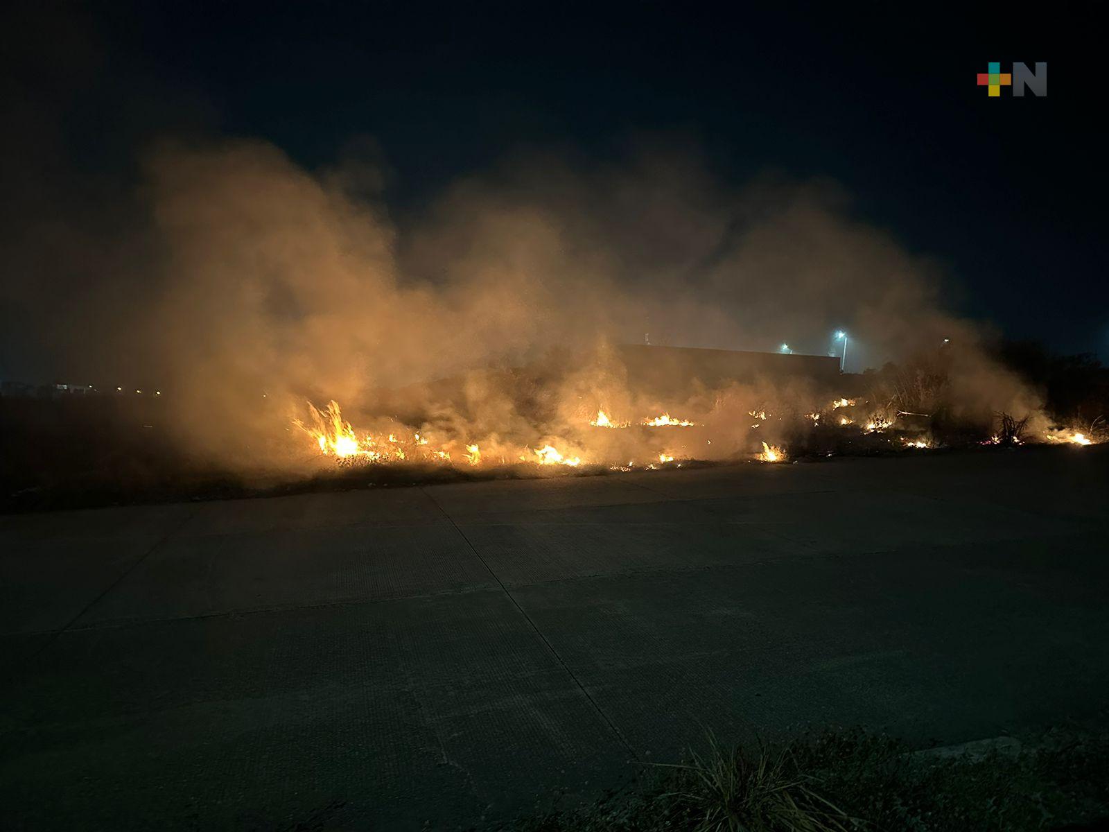 Incendios están acabando con especies silvestres en Coatzacoalcos