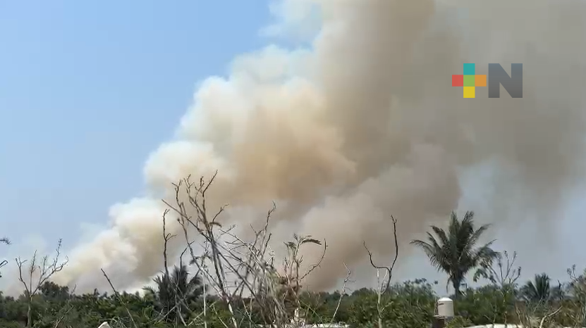 Incendio en zona de manglares de Veracruz puerto; controlado y sin afectaciones