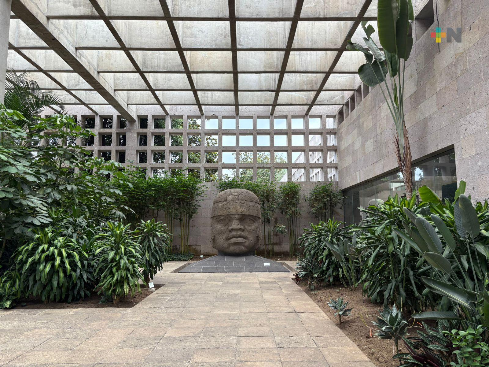 Museo de Antropología busca cambiar jardinería ornamental por especies nativas