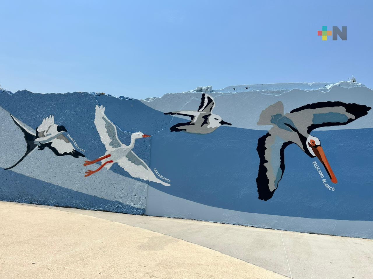 Casi listo mural de pájaros acuáticos en malecón de Coatzacoalcos