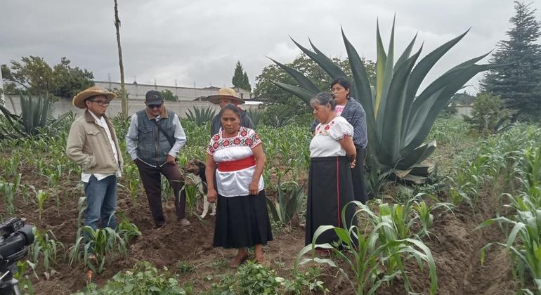 México en lista de Patrimonio Agrícola de Importancia Mundial