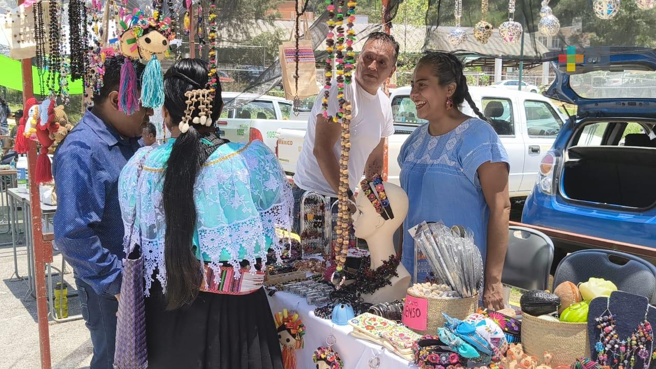 Realizan segundo Festival de Polinizadores