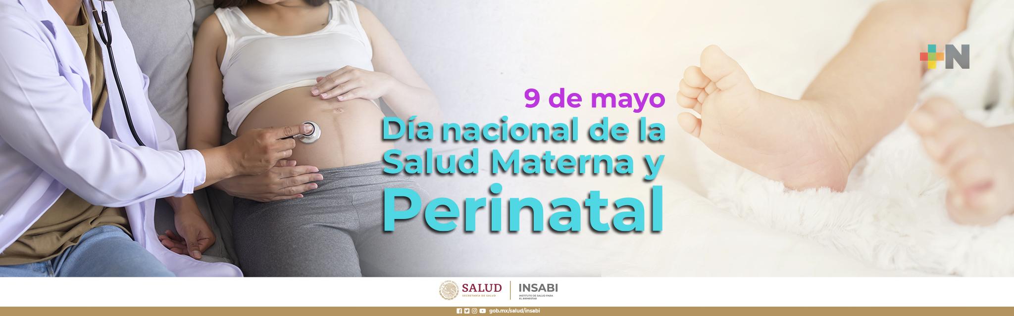 Día Nacional de la Salud Materna y Perinatal este 9 de mayo