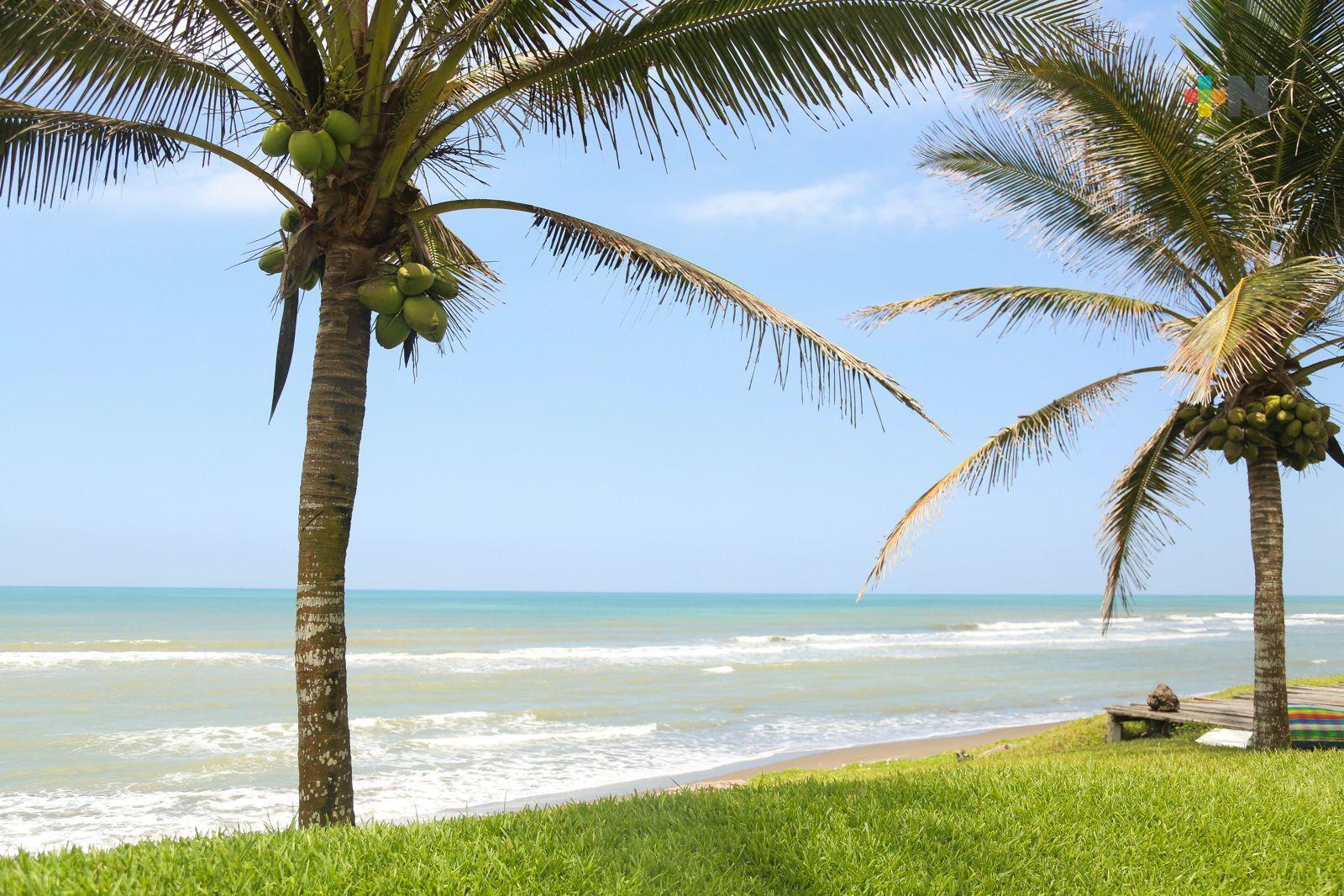 Tecolutla, paraíso tropical entre manglares, playa y sabor