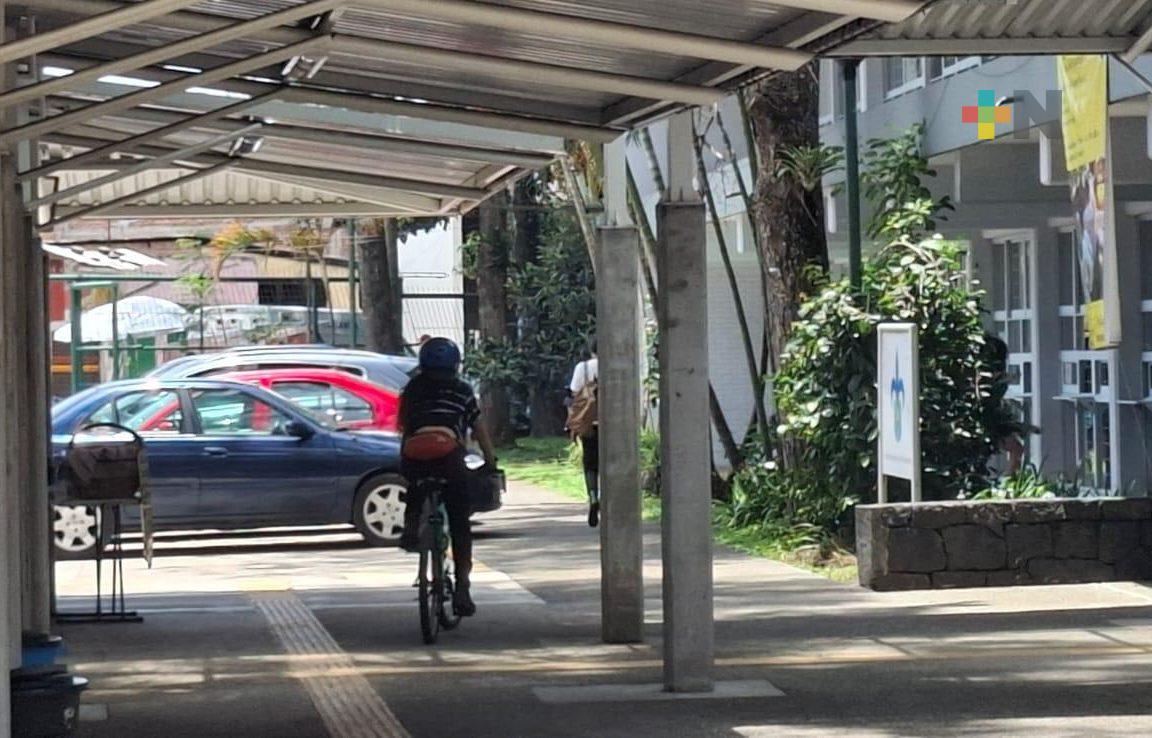 Bicicleta, medio de transporte saludable también para el medio ambiente