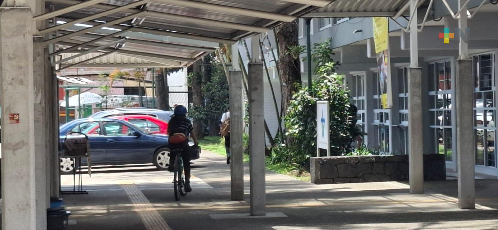 Bicicleta, medio de transporte saludable también para el medio ambiente  