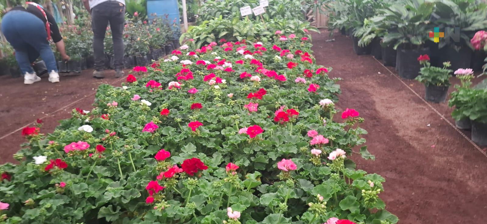 ¿Usted regala flores naturales a mamá?