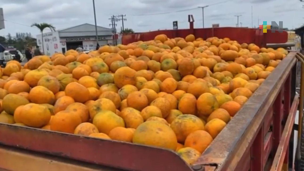 Evalúan instalar laboratorio para controlar plagas de cítricos en Tecnológico de Álamo
