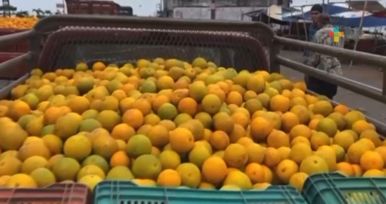 Poca producción de naranja «mayera» en Martínez de la Torre