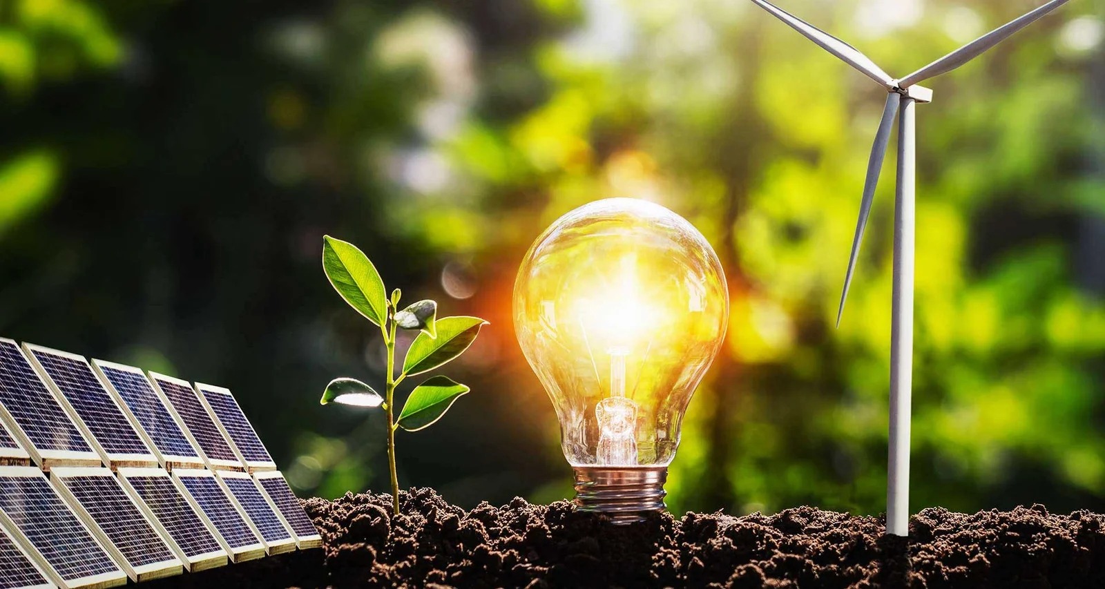 El avance de las energías renovables ha sido notable en los últimos meses