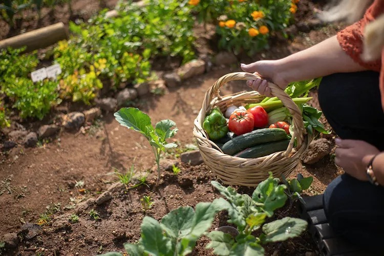 Día Mundial del Horticultor