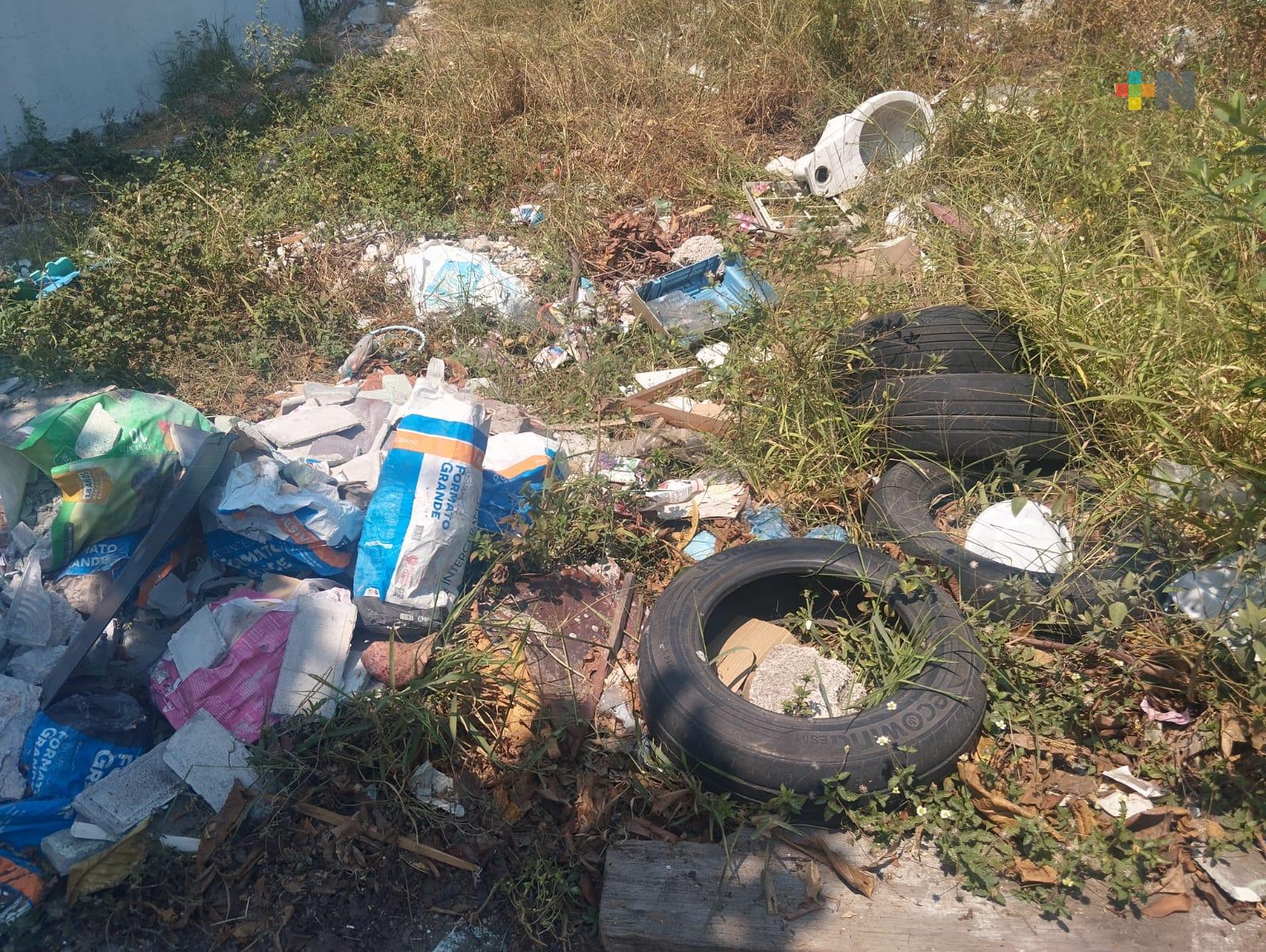 Como basureros usan terrenos baldíos de Veracruz puerto