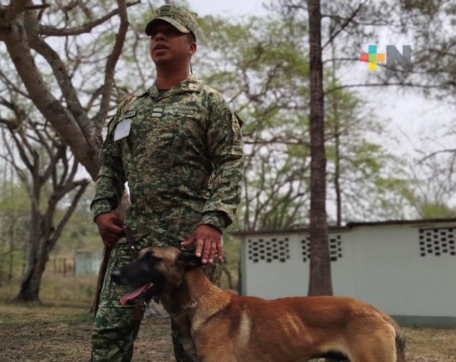 “Lencero” hace lo suyo para resguardar y cuida a la ciudadanía veracruzana