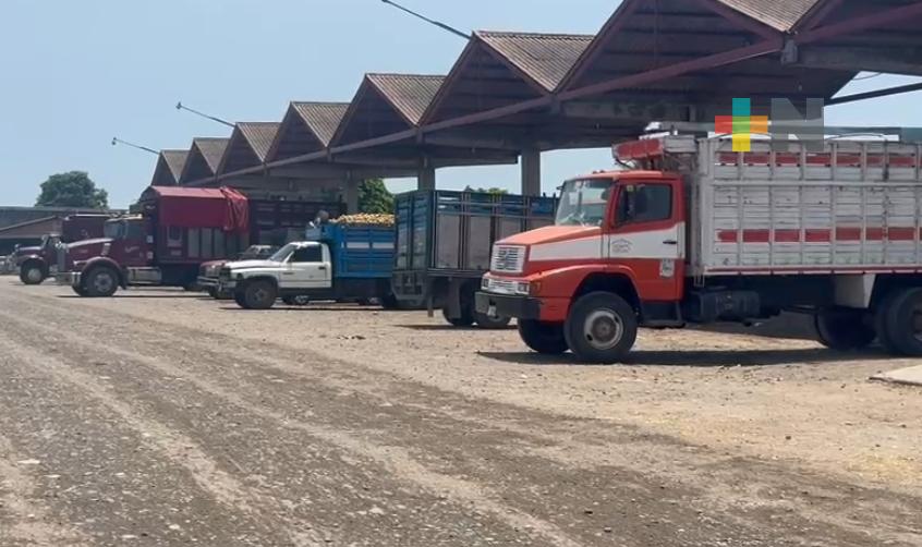 En Martínez de la Torre, Central de Abasto  registra importante movimiento comercial