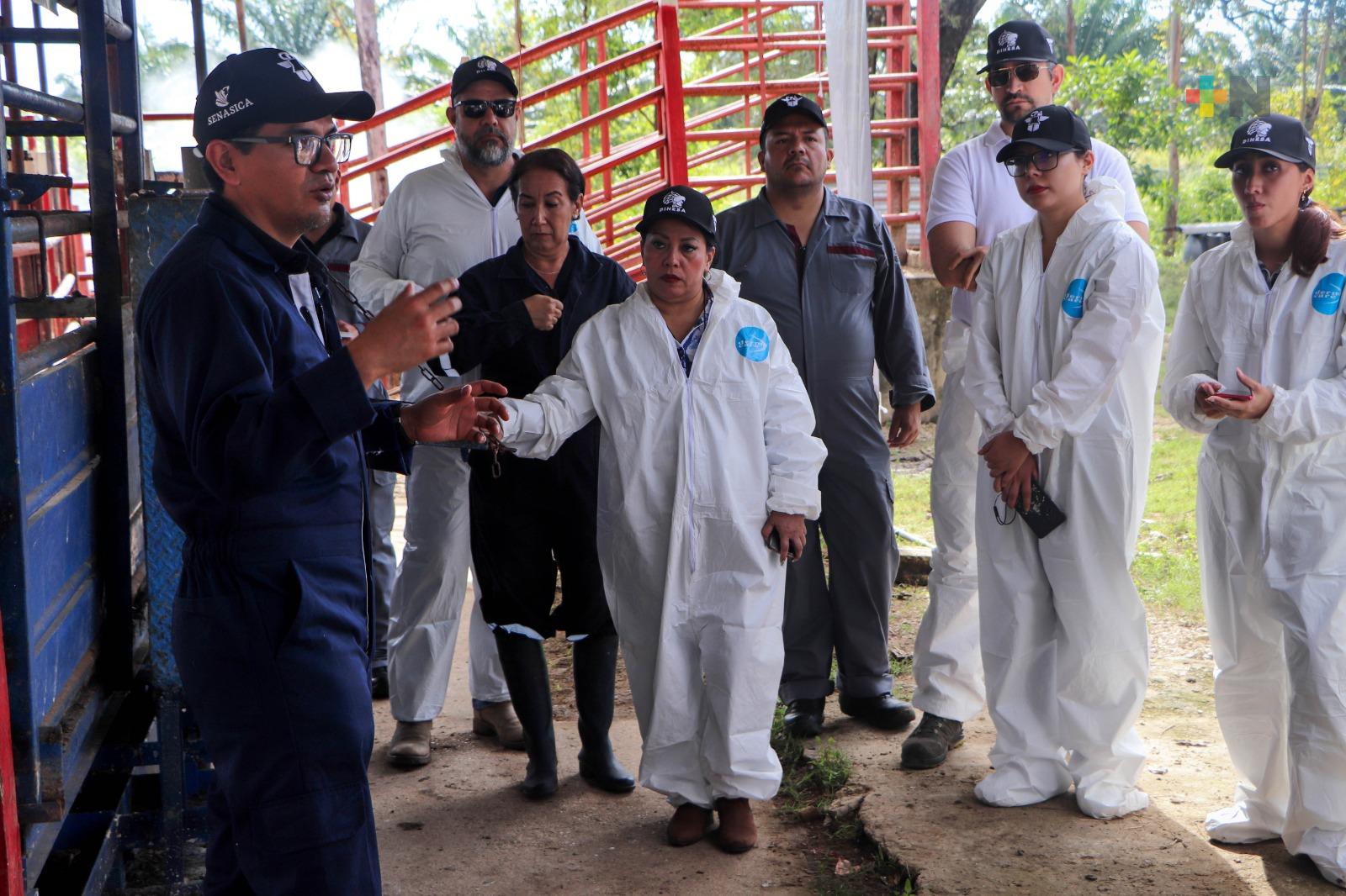 Capacitan a 70 mil productores y veterinarios para detectar y erradicar al gusano barrenador