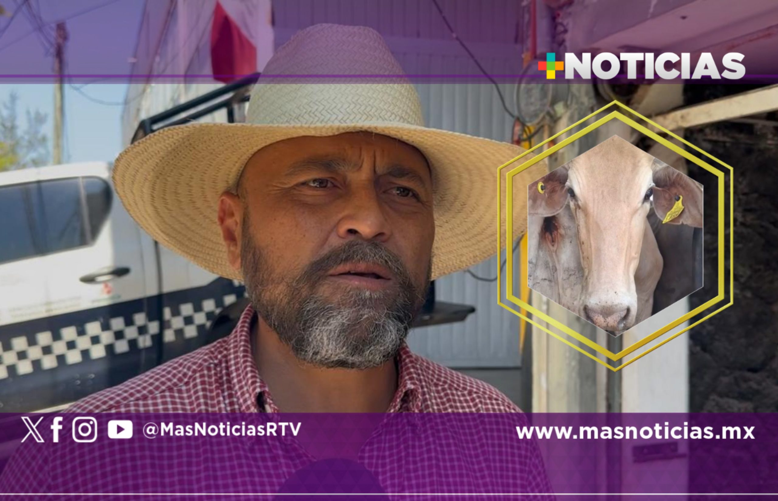 Ganado de Coatza se mantiene libre de gusano barrenador