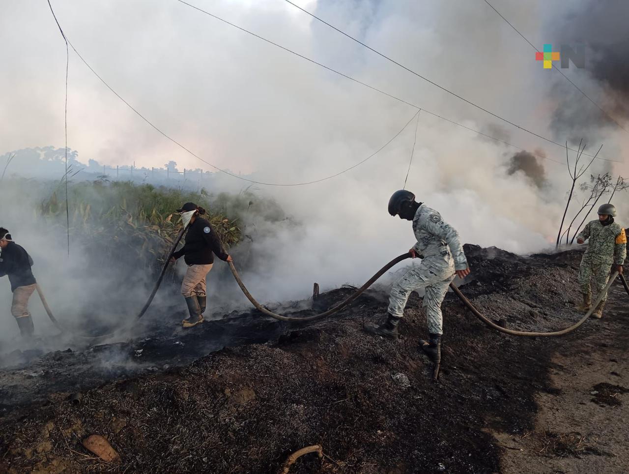 Incendios en sur de Veracruz destruyen cada vez más vegetación y fauna silvestre