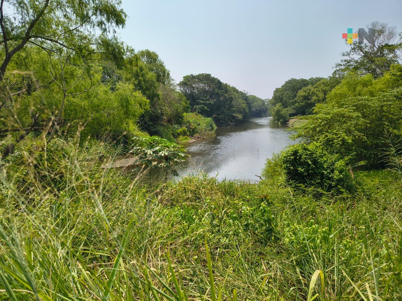 ¡Preocupados por el bajo nivel en río Cotaxtla!