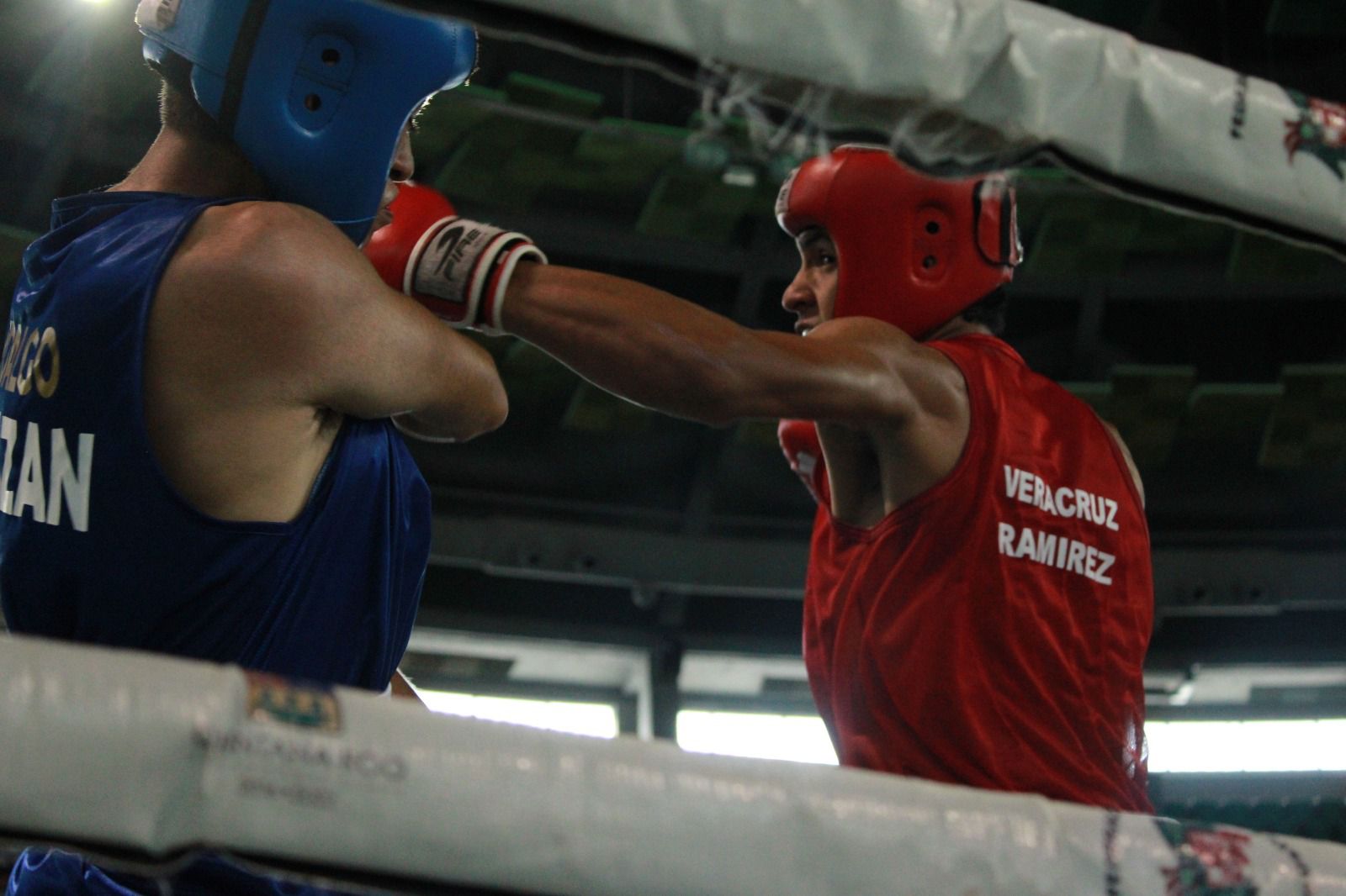 Talentosos pugilistas veracruzanos, convocados a la Selección Nacional Junior