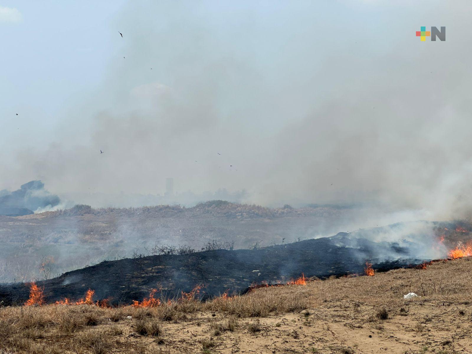 Quema de basura y altas temperaturas provocan incendios de pastizales