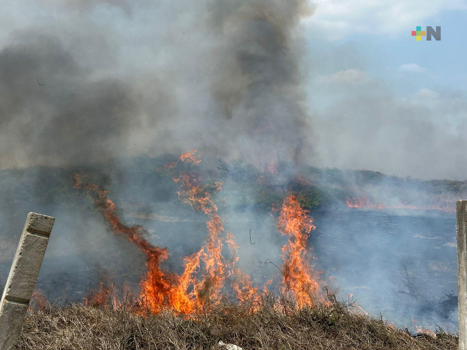 SPC Veracruz y Conafor reportan siete incendios forestales activos y uno liquidado
