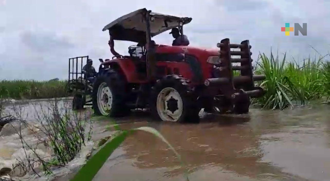 Tres Valles activa protocolos por creciente del río Amapa