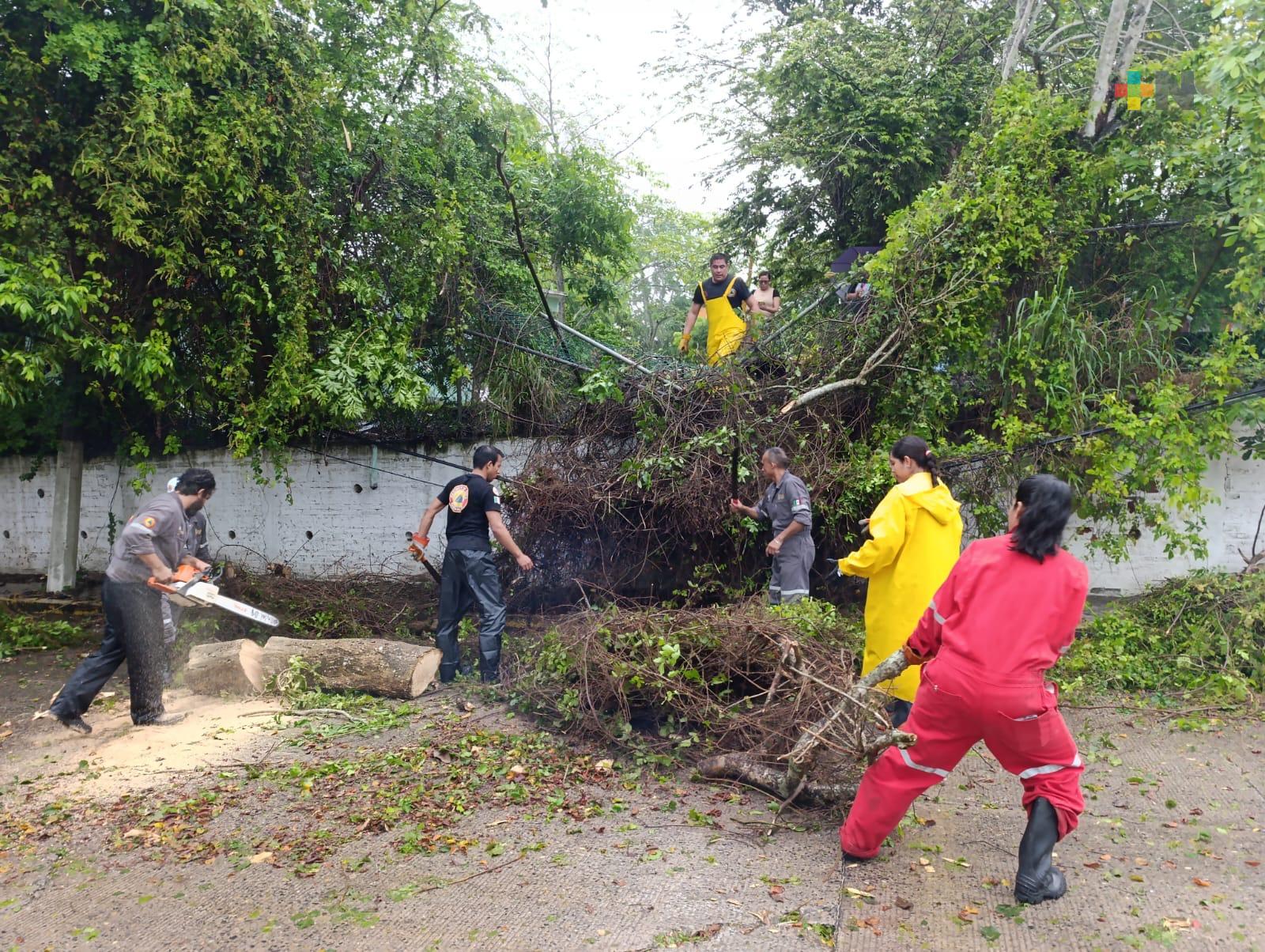 Lluvias dejan diversas afectaciones en calles y avenidas de Tuxpan