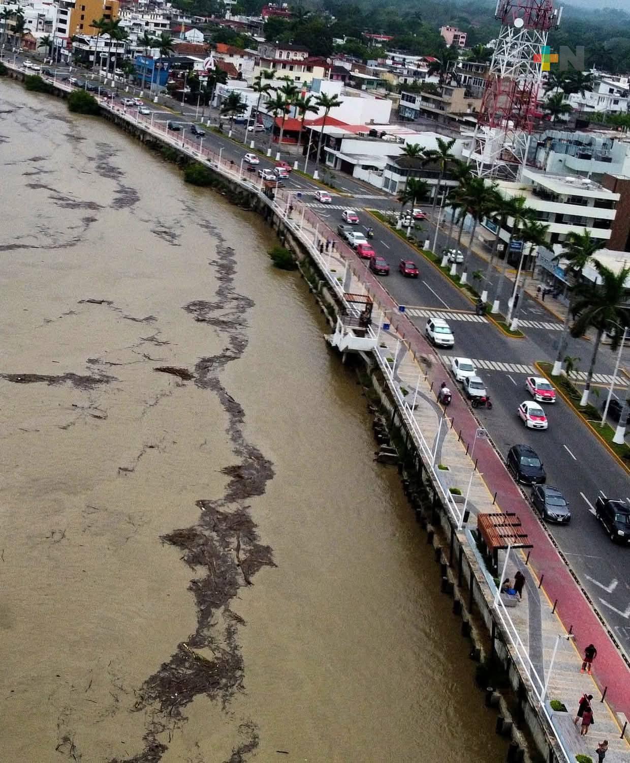 La palizada no representa peligro en el río Tuxpan