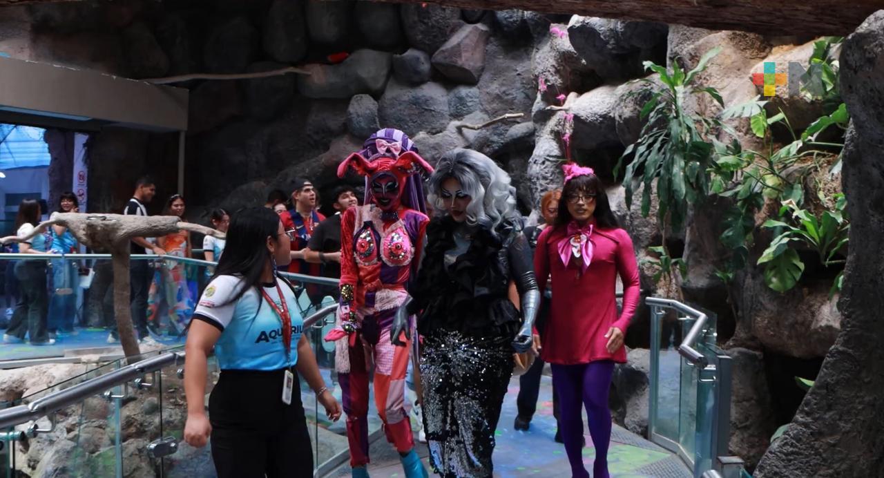 Recorrido con Orgullo: Aquarium de Veracruz celebra diversidad al estilo drag queen