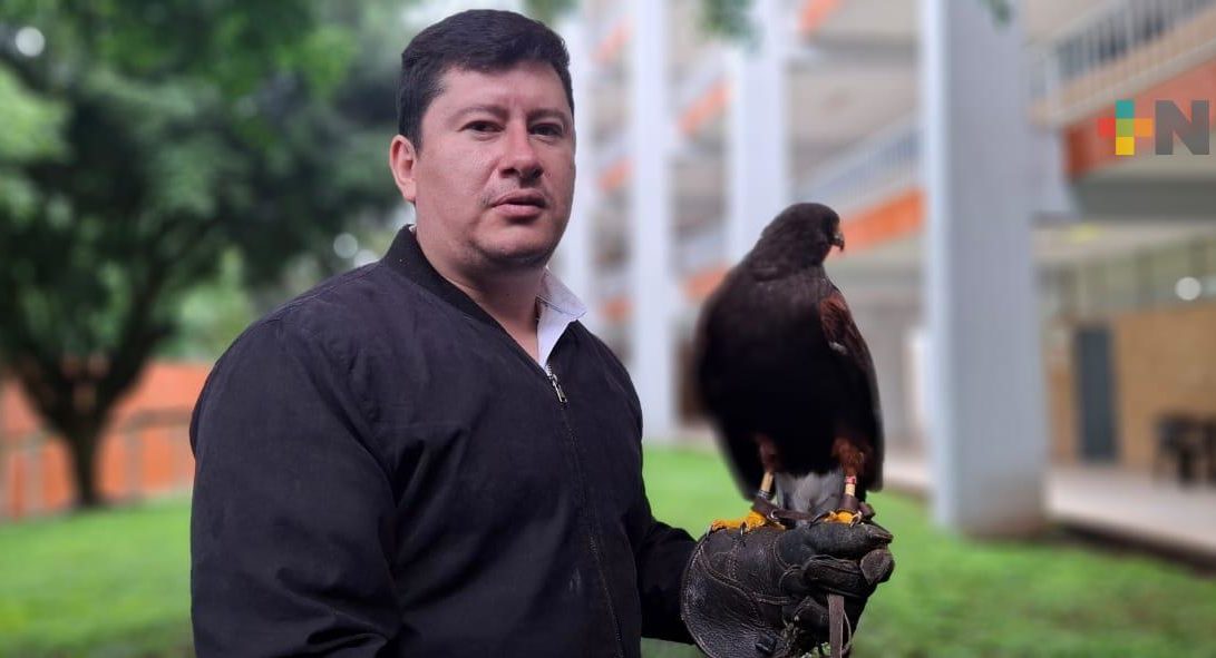 Aves rapaces limpian de plagas pero están perdiendo su hábitat