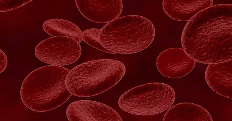 Lo que debes saber sobre el cáncer de sangre