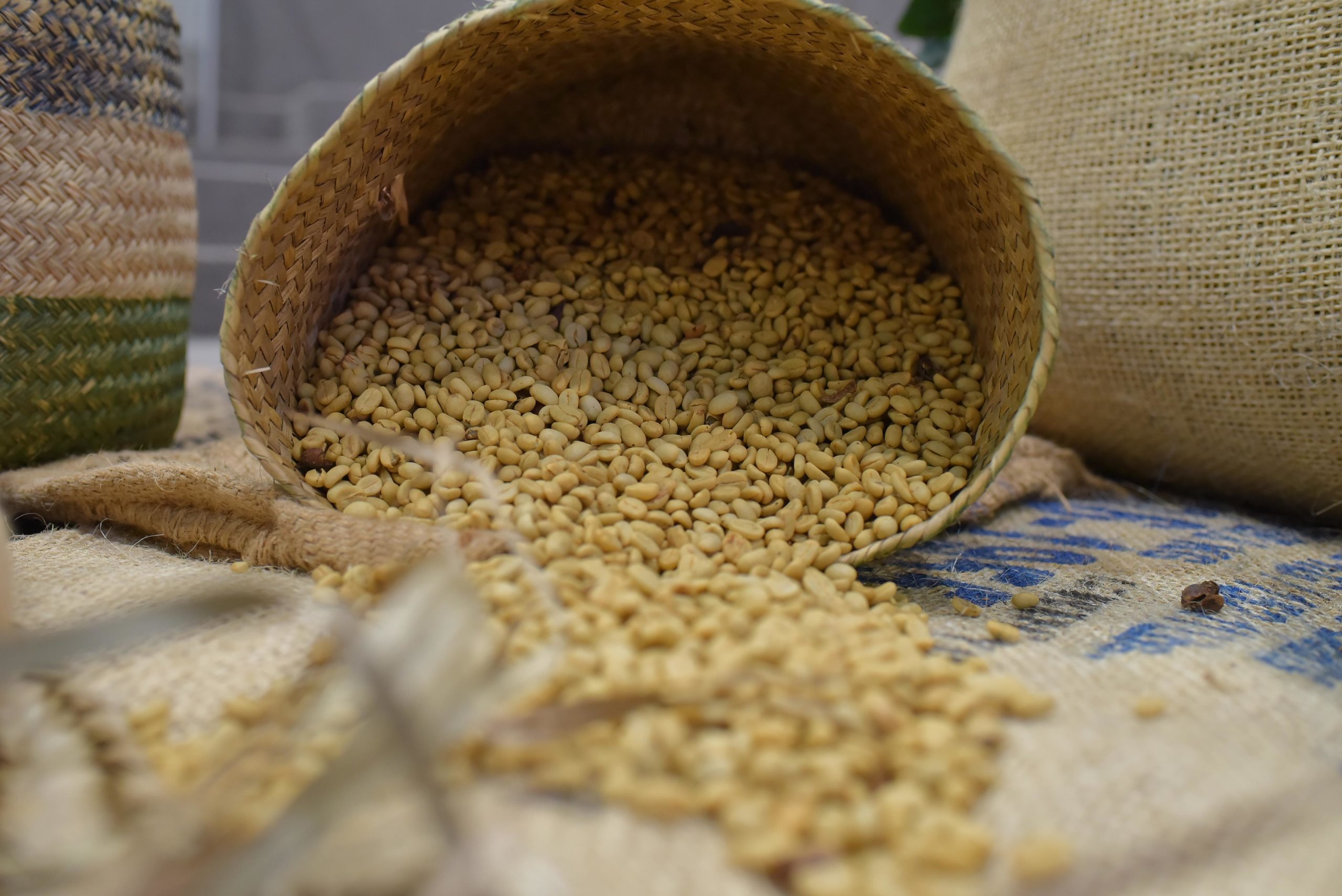 Presentan ficheros de prácticas agroecológicas resilientes para maíz, café y miel