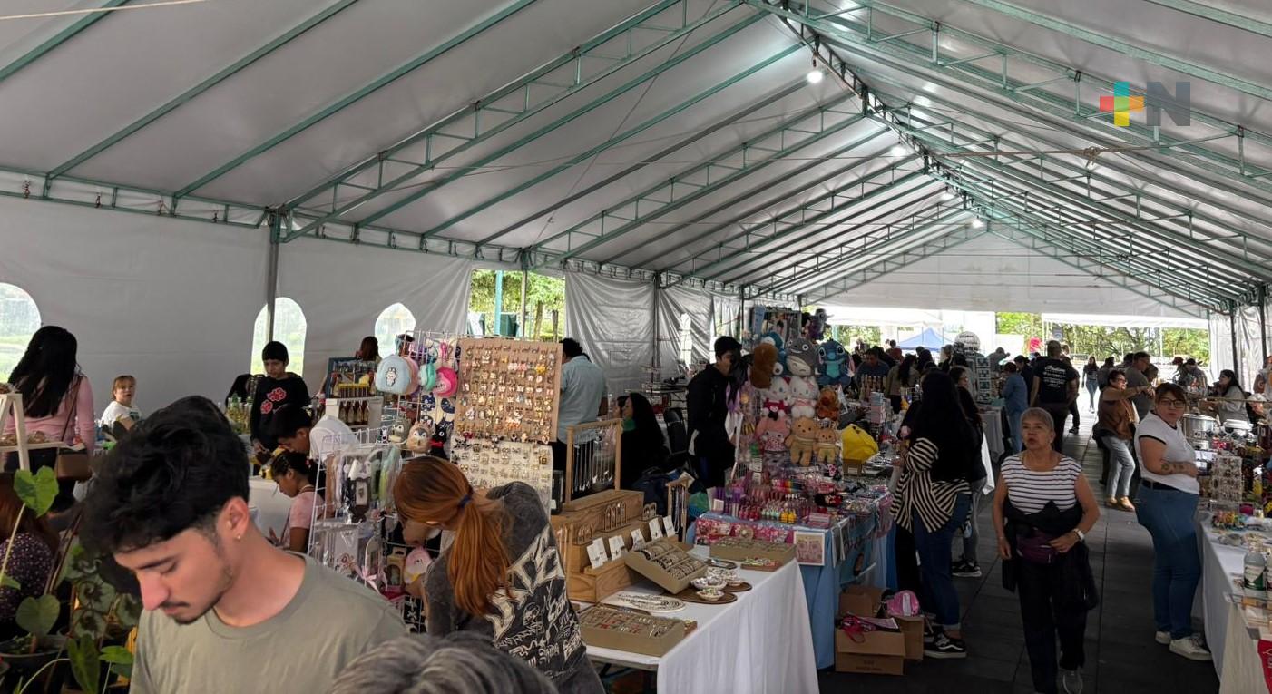 Instalan pabellón artesanal Expo Diversex en parque Juárez