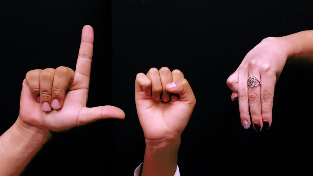 Se celebra Día Nacional de la Lengua de Señas Mexicana